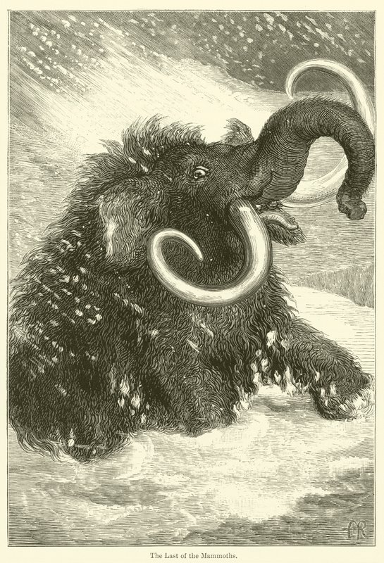 Le dernier des mammouths (gravure) - English School