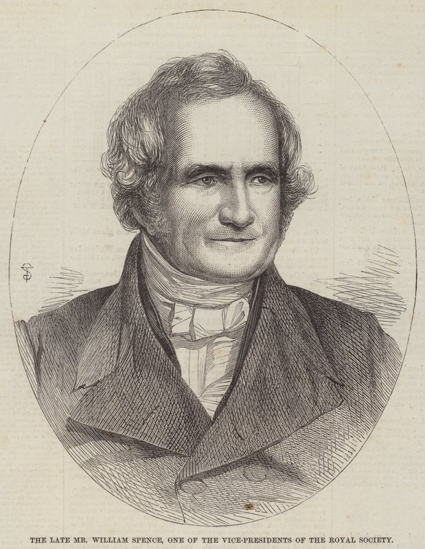 Feu M. William Spence, un des vice-présidents de la Royal Society (gravure) - English School