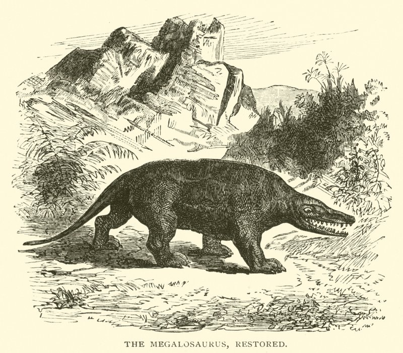 Le Mégalosaure, restauré (gravure) - English School