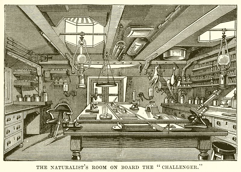 La salle des naturalistes à bord du Challenger - English School