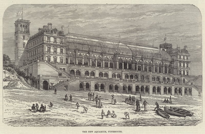 Le nouvel aquarium, Tynemouth (gravure) - English School