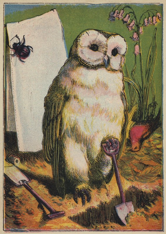 Le Hibou, le Scarabée et le Rouge-Gorge - English School