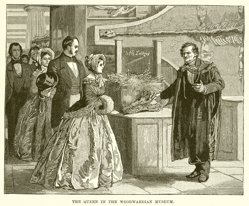 La Reine au Musée Woodwardian - English School