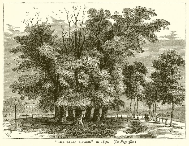 Les Sept Sœurs en 1830 - English School