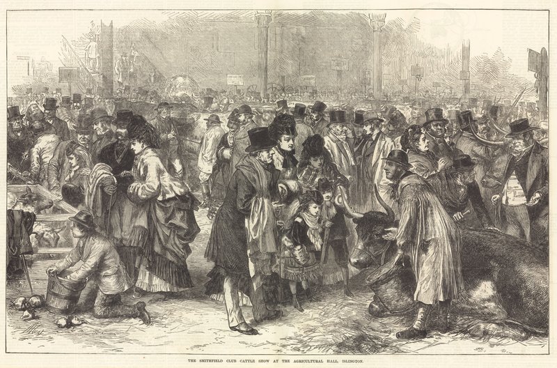 Le salon du bétail du Smithfield Club au Agricultural Hall, Islington - English School