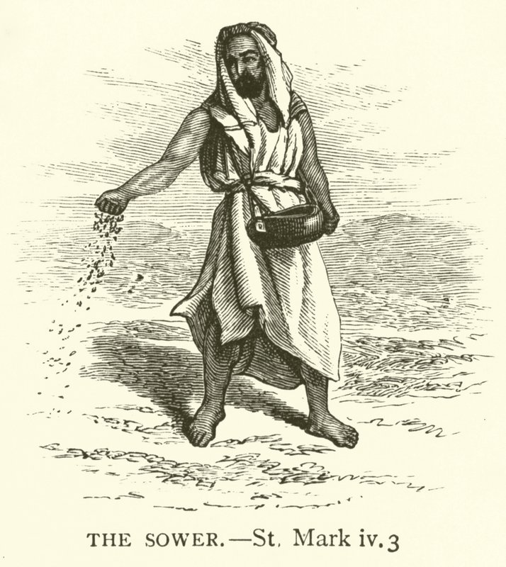 Le Semeur, Saint Marc, iv, 3 - English School