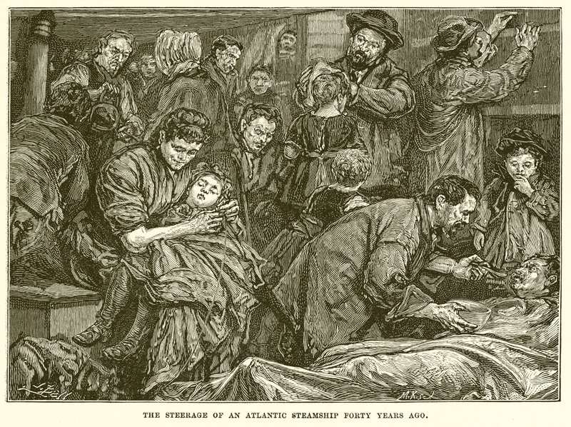 La Steerage d