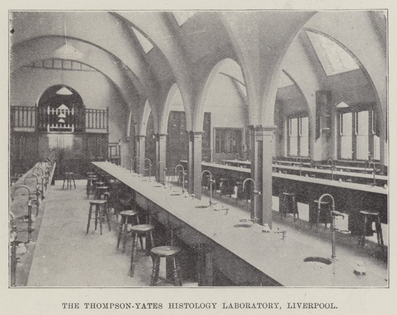 Le laboratoire d