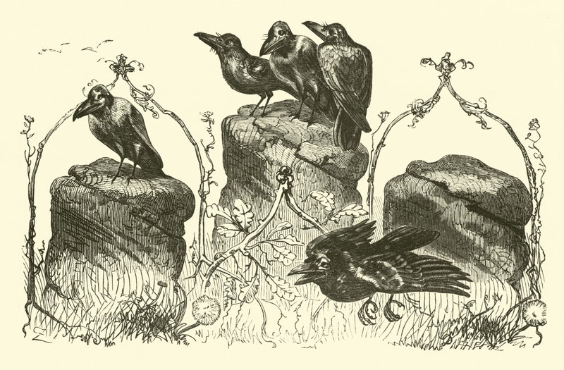 Les trois corbeaux - English School
