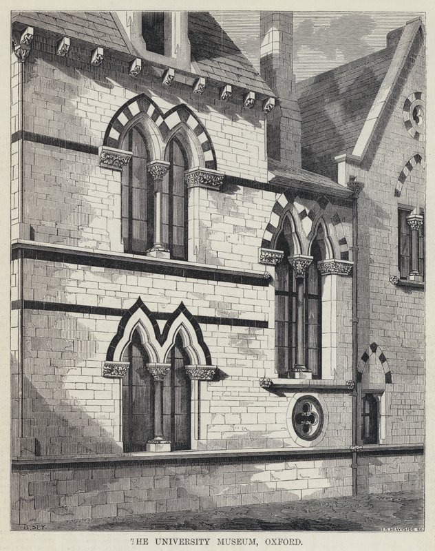 Le musée universitaire, Oxford (gravure) - English School
