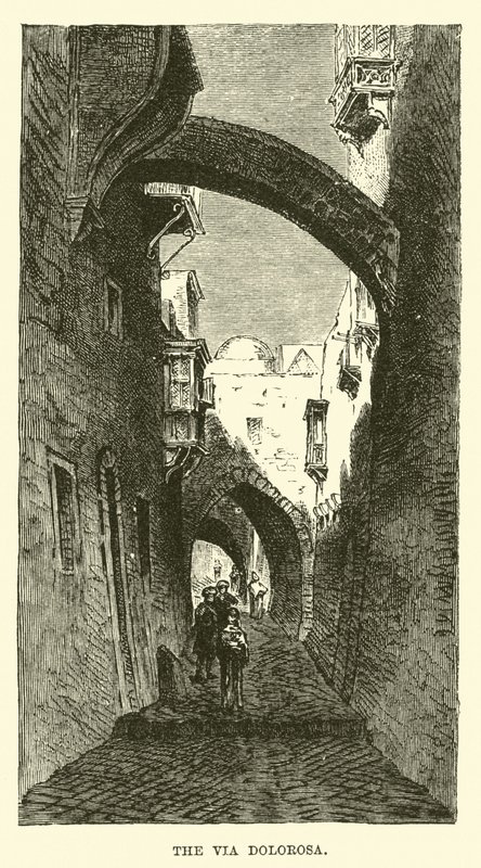 La Via Dolorosa - English School