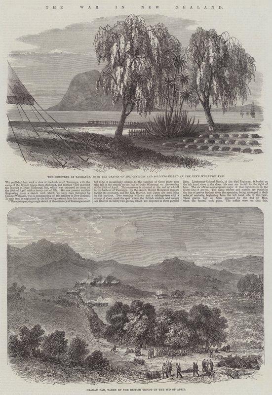 La guerre en Nouvelle-Zélande - English School