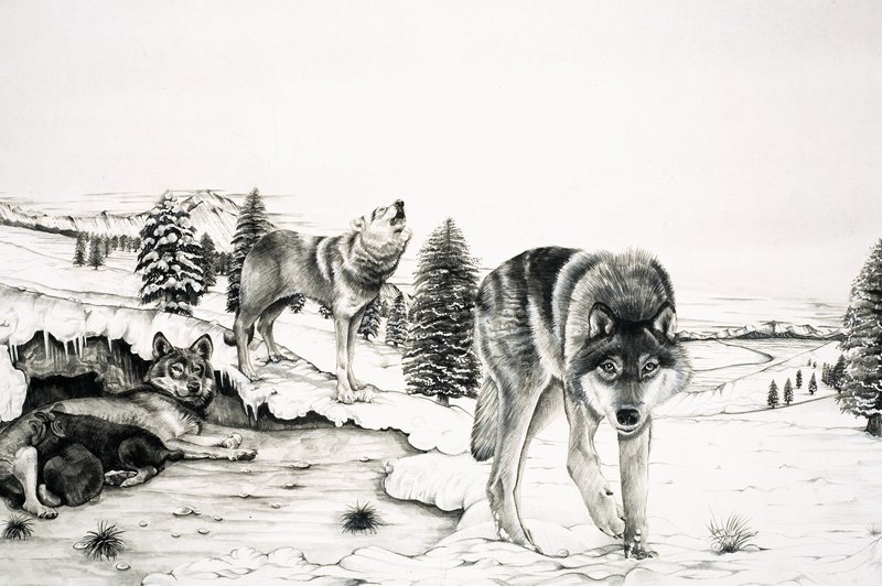 Le Monde de la Nature : Le 