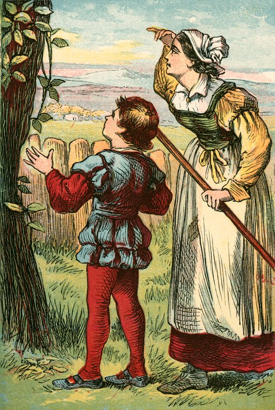 Le haricot pousse hors de vue en une nuit - English School