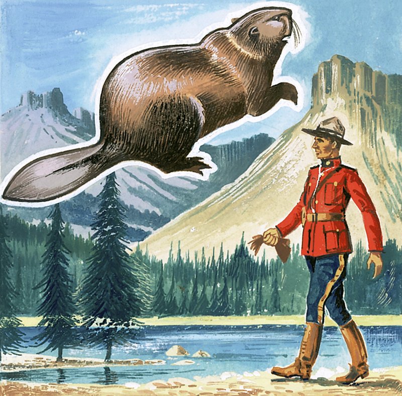 Le castor, emblème du Canada - English School
