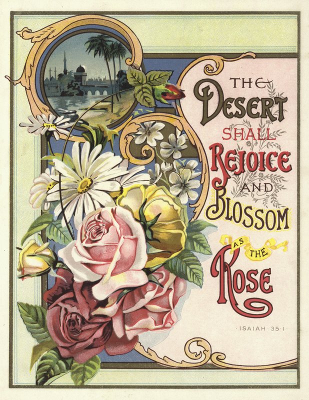 Le désert se réjouira et fleurira comme la rose - English School