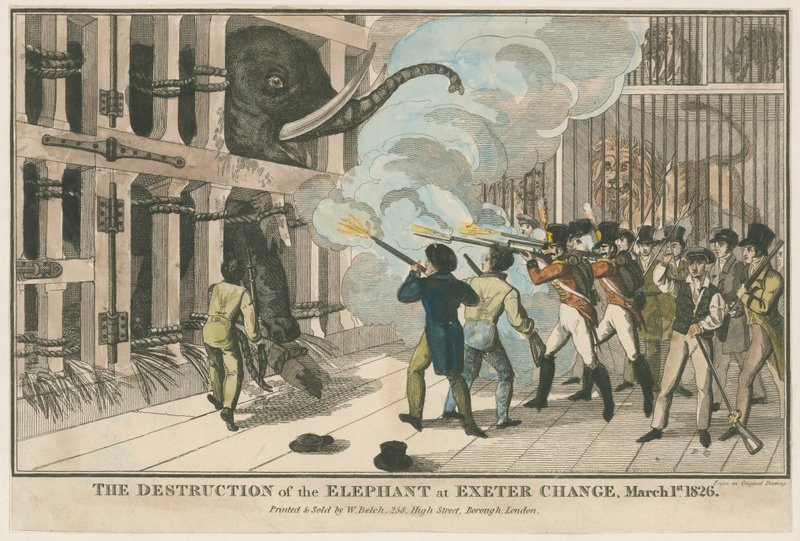 La destruction de l