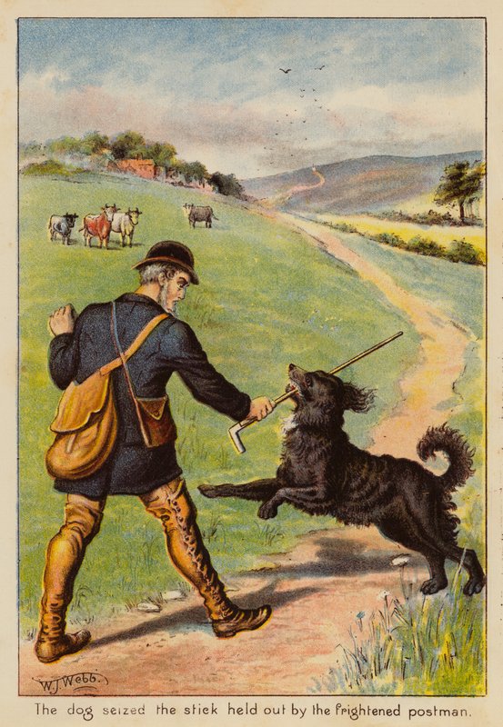 Le chien a saisi le bâton tendu par le facteur effrayé - English School