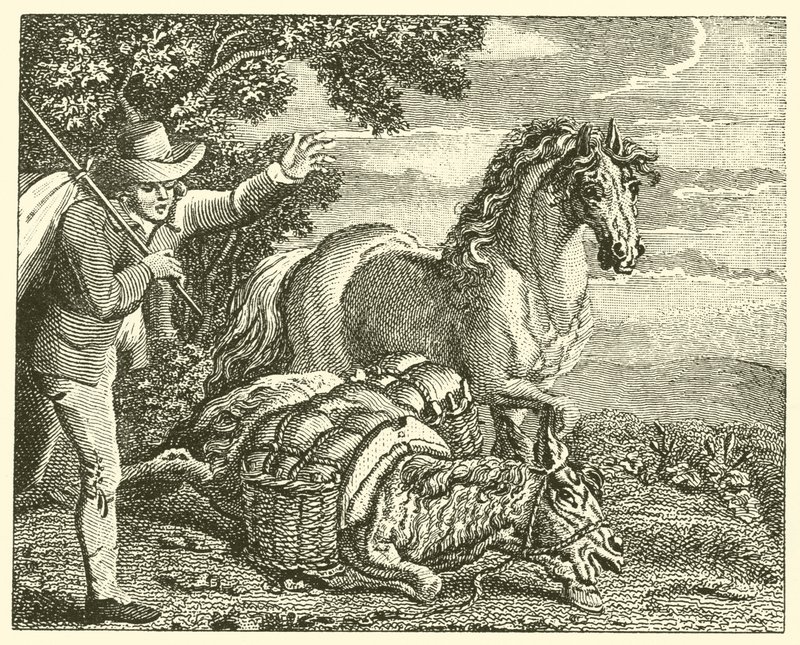 Le cheval et l
