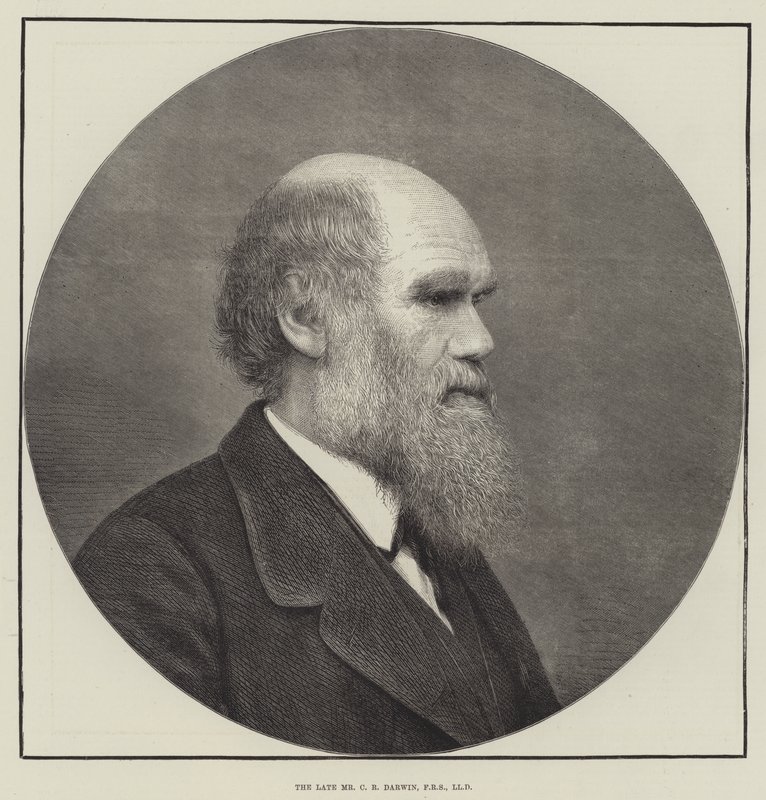 Feu M. C. R. Darwin, FRS, LLD - English School