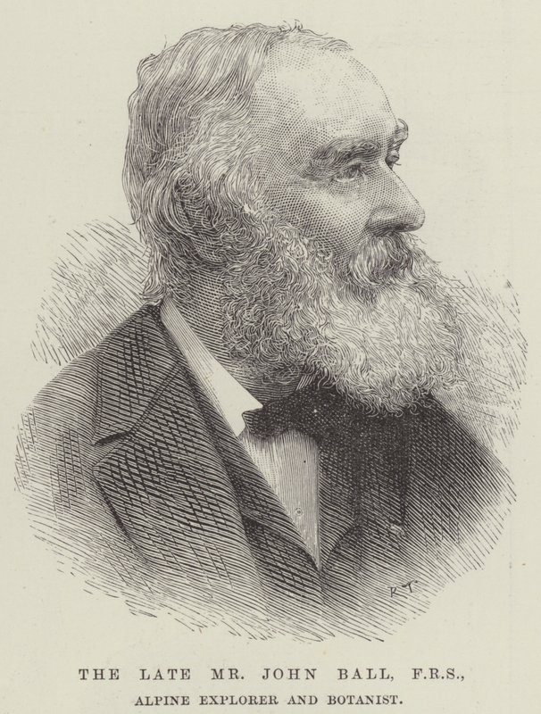Feu M. John Ball, FRS, explorateur alpin et botaniste (gravure) - English School