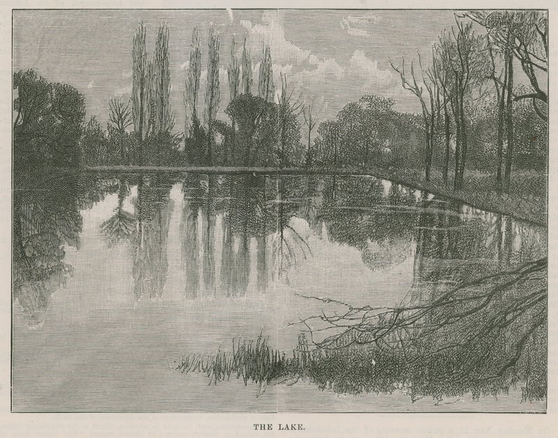 Le nouveau parc public à Highgate : le lac - English School