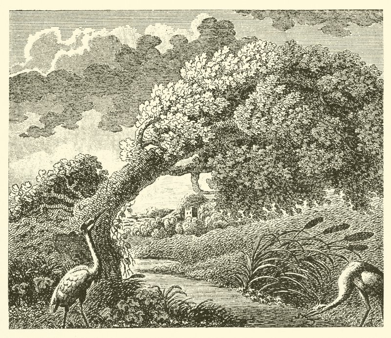 Le chêne et le roseau - English School