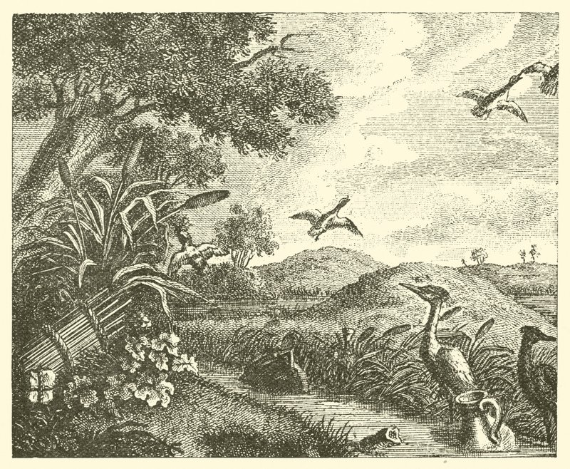 Les deux pots - English School