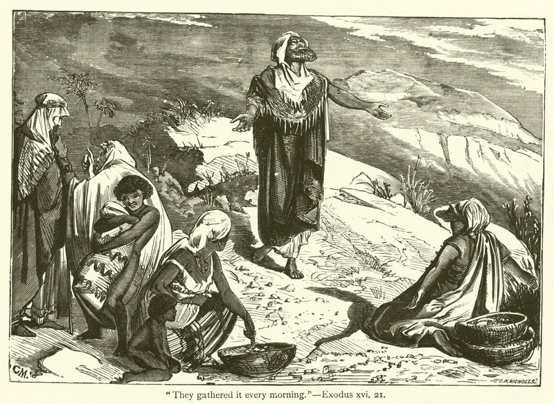Ils le ramassaient chaque matin, Exode, xvi, 21 - English School