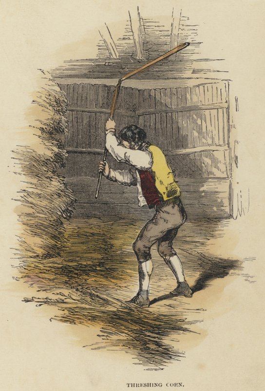 Battage du maïs (gravure en couleur) - English School