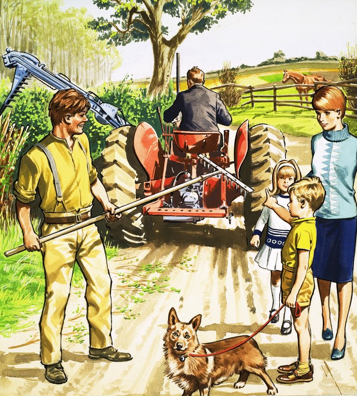Conducteur de Tracteur et Tondeuse - English School