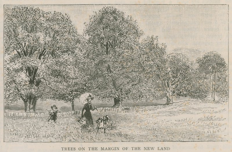 Arbres à la marge de la nouvelle terre - English School