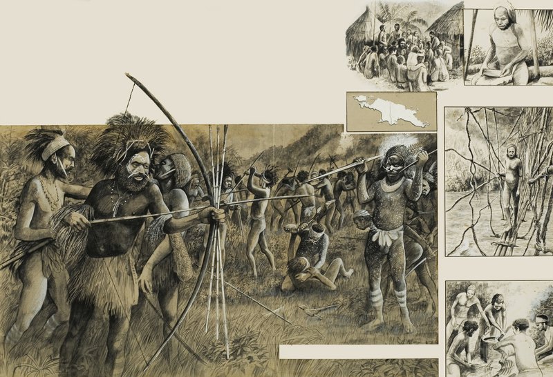 Tribus de Nouvelle-Guinée - English School
