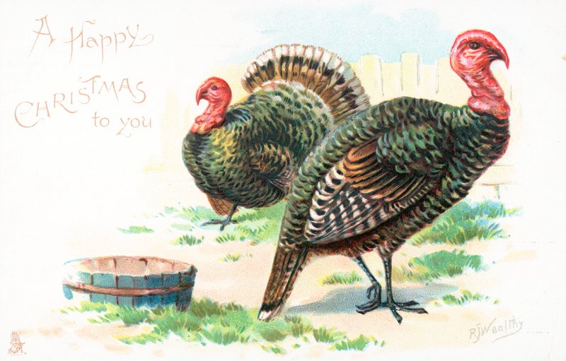 Dindes, Carte de Noël - English School