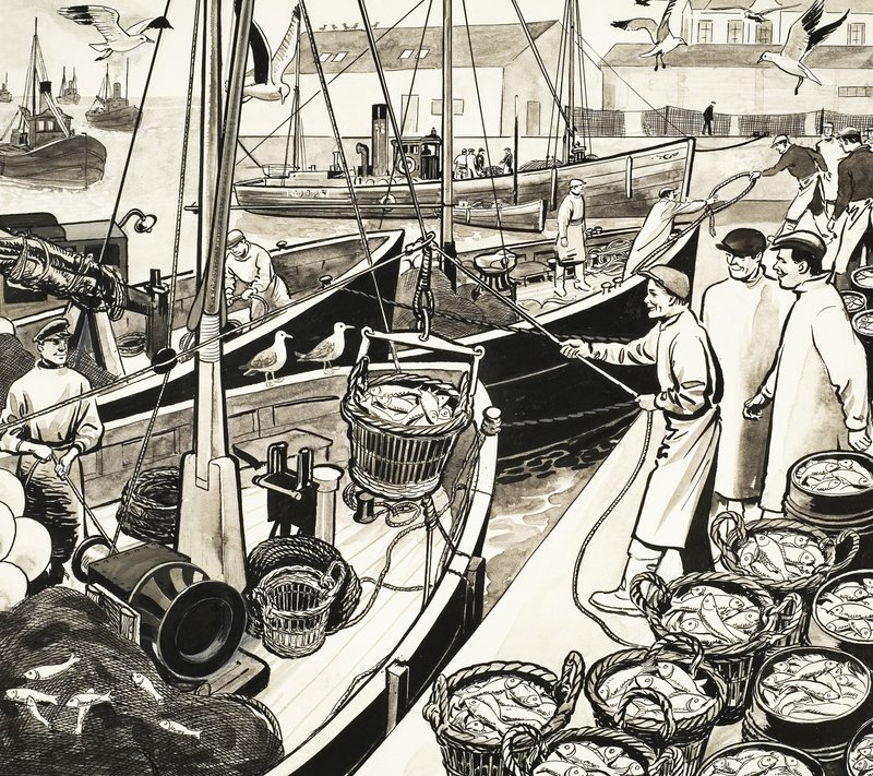 Port de pêche non identifié avec poissons sur le quai - English School