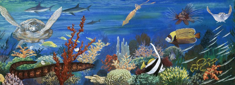 Créatures sous-marines non identifiées, y compris des poissons colorés et une tortue - English School