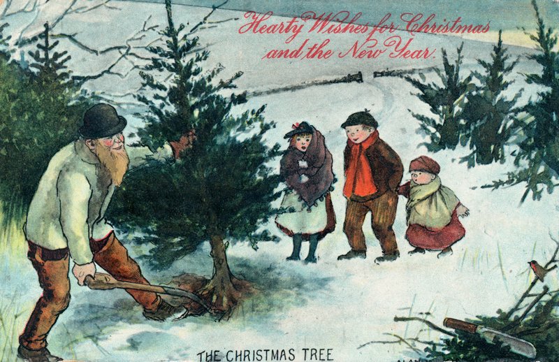 Déracinement du sapin de Noël, Carte de Noël - English School