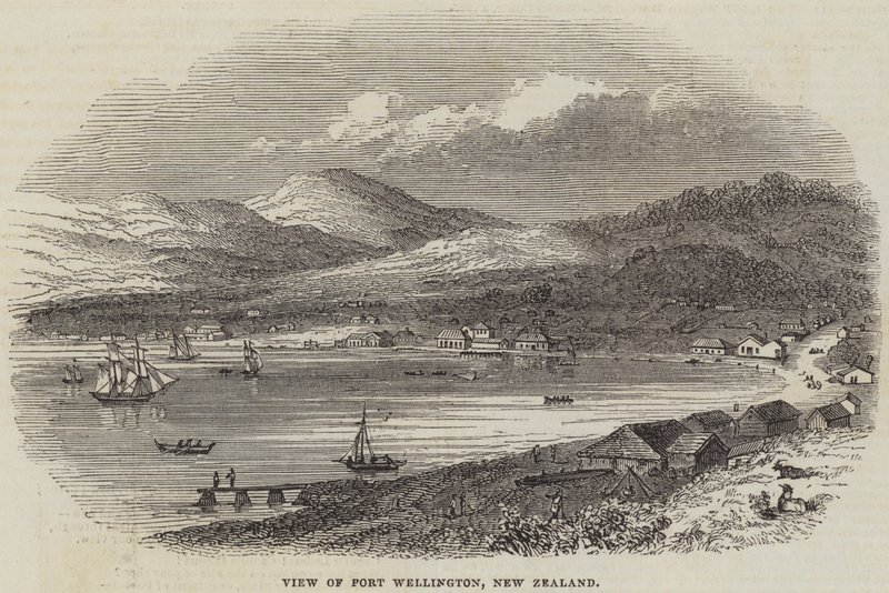 Vue de Port Wellington, Nouvelle-Zélande (gravure) - English School