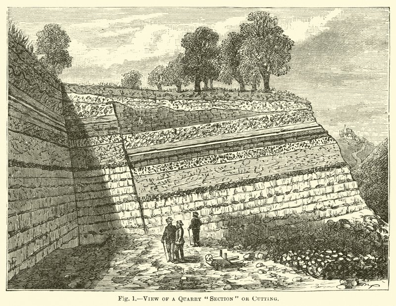 Vue d