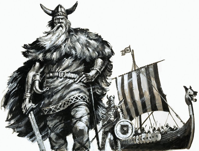 Viking et drakkar - English School