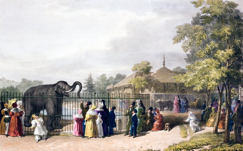 Visiteurs au zoo de Londres, Regent