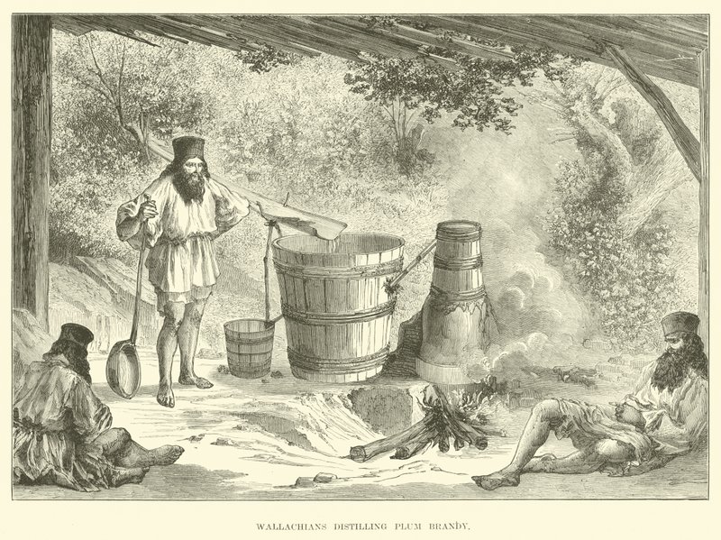 Valaques distillant de l