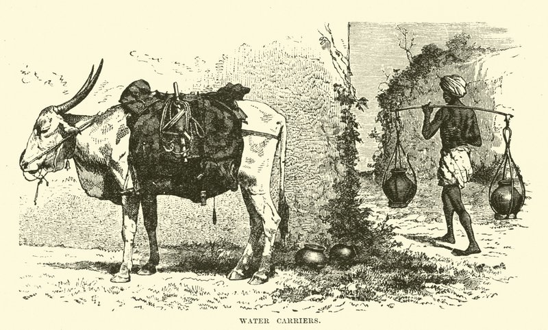 Porteurs d