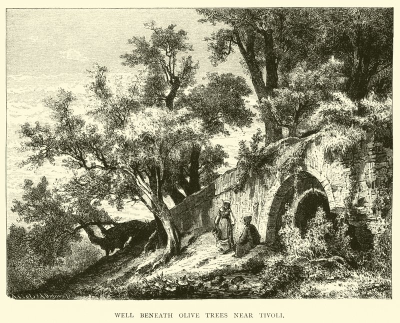 Puits sous les oliviers près de Tivoli - English School