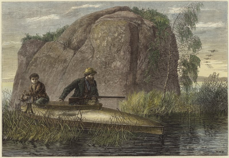 Chasse au canard sauvage - English School