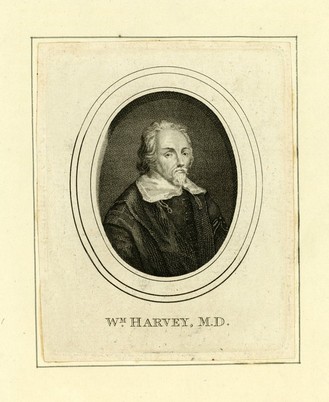 William Harvey - English School