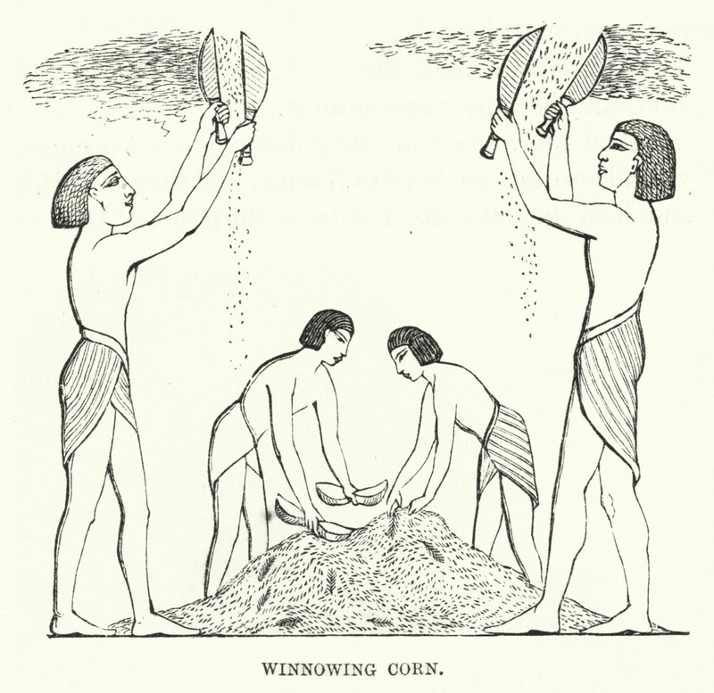 Vannage du blé (gravure) - English School