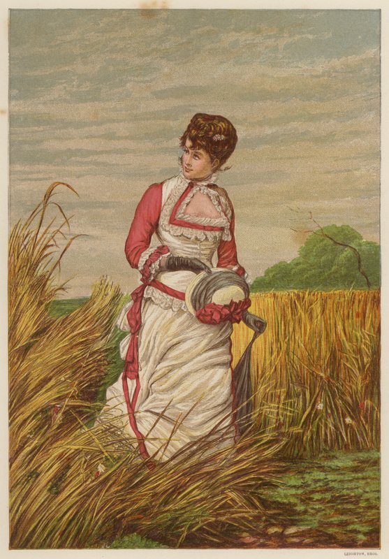 Femme en infraction dans un champ de maïs - English School