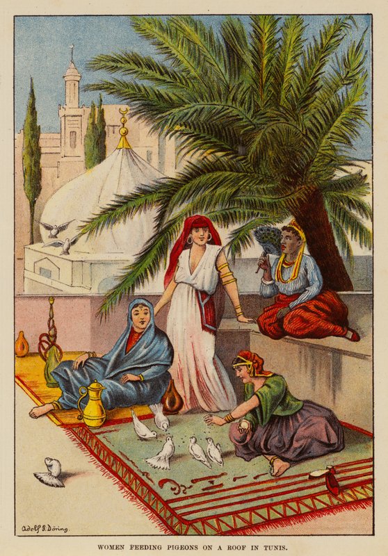 Femmes nourrissant des pigeons sur un toit à Tunis - English School