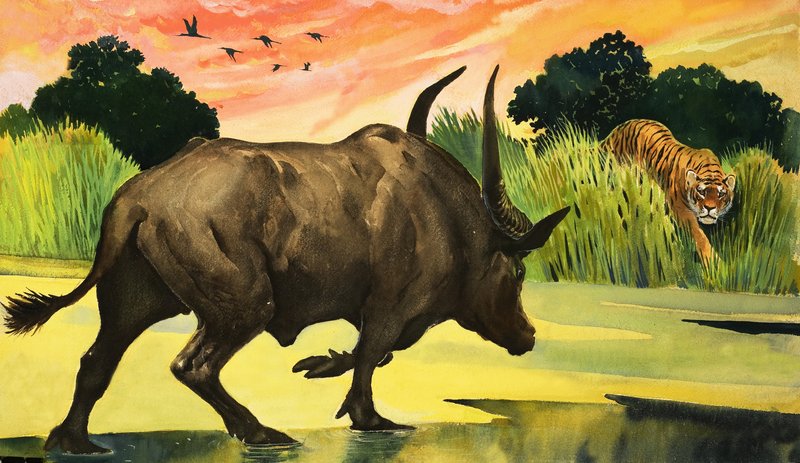 Merveilles de la nature : L